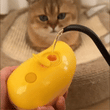 3 In 1 Cat & Dog Steam Brush, Cat Hair Brush, Rechargeable