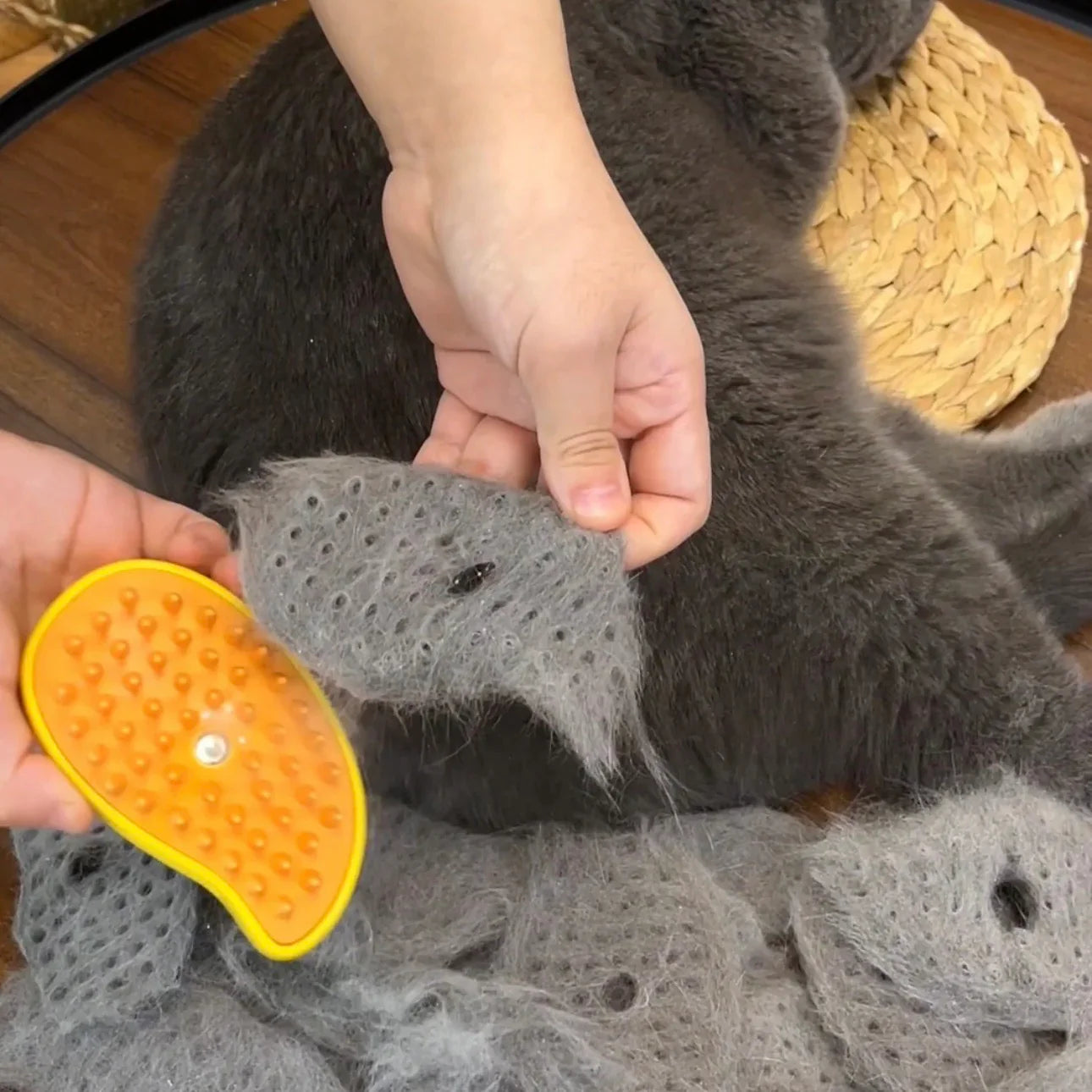 3 In 1 Cat & Dog Steam Brush, Cat Hair Brush, Rechargeable