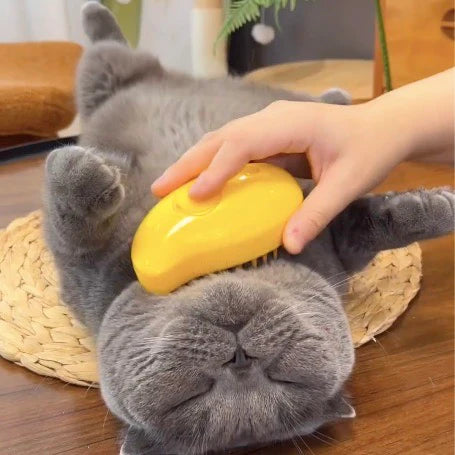 3 In 1 Cat & Dog Steam Brush, Cat Hair Brush, Rechargeable